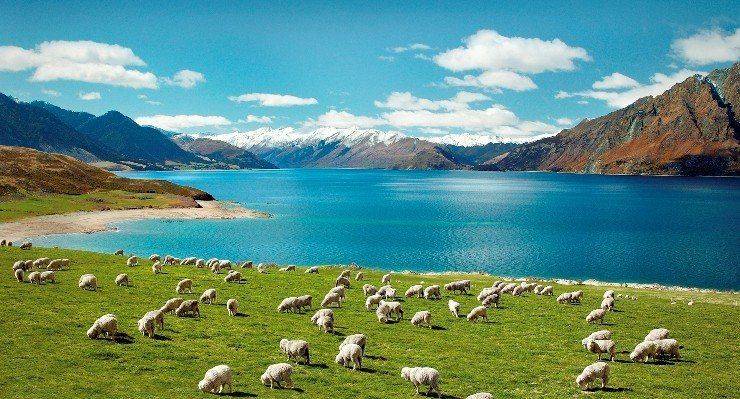 Tour du lịch Úc - New Zealand thưởng ngoạn mùa thu vàng