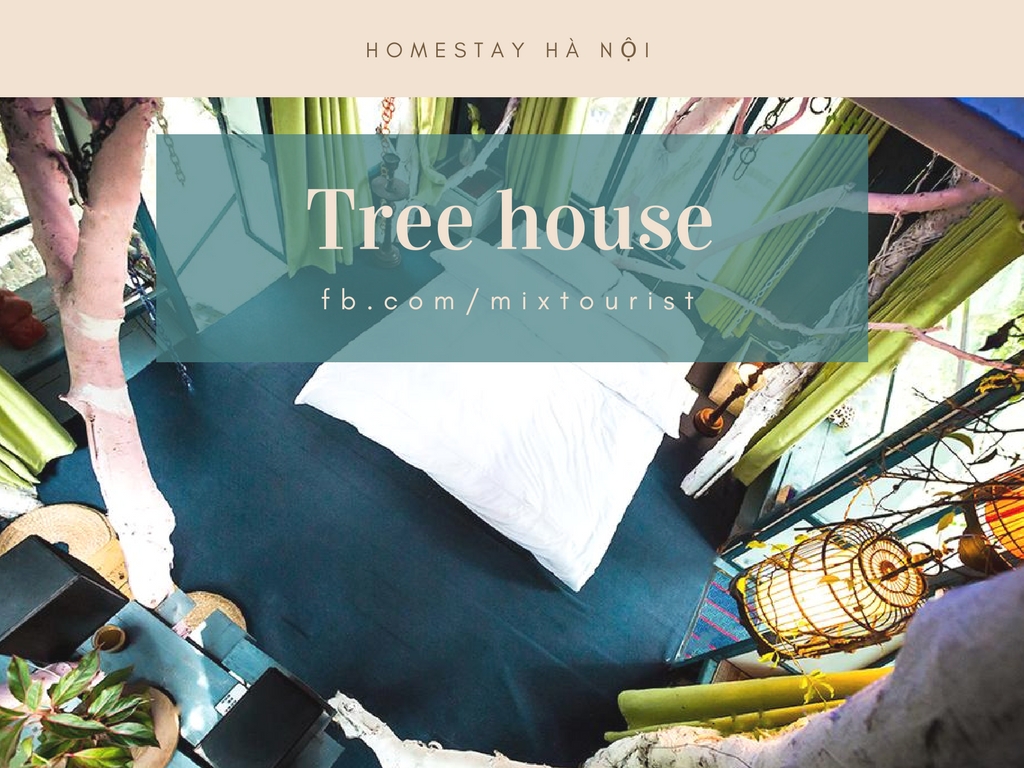 Tree-House-ha-noi-worldtrip