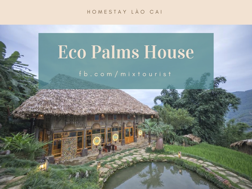 homestay-Eco-Palms-House-sapa-lao-cai-worldtrip