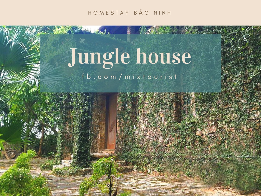homestay-Jungle-House-bac-ninh-worldtrip