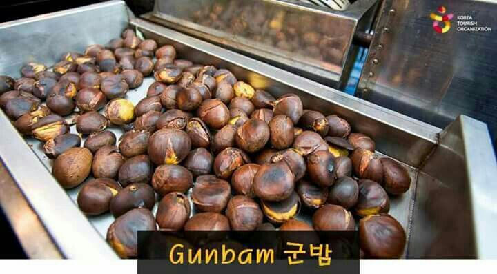 Gunbam-korean-worldtrip