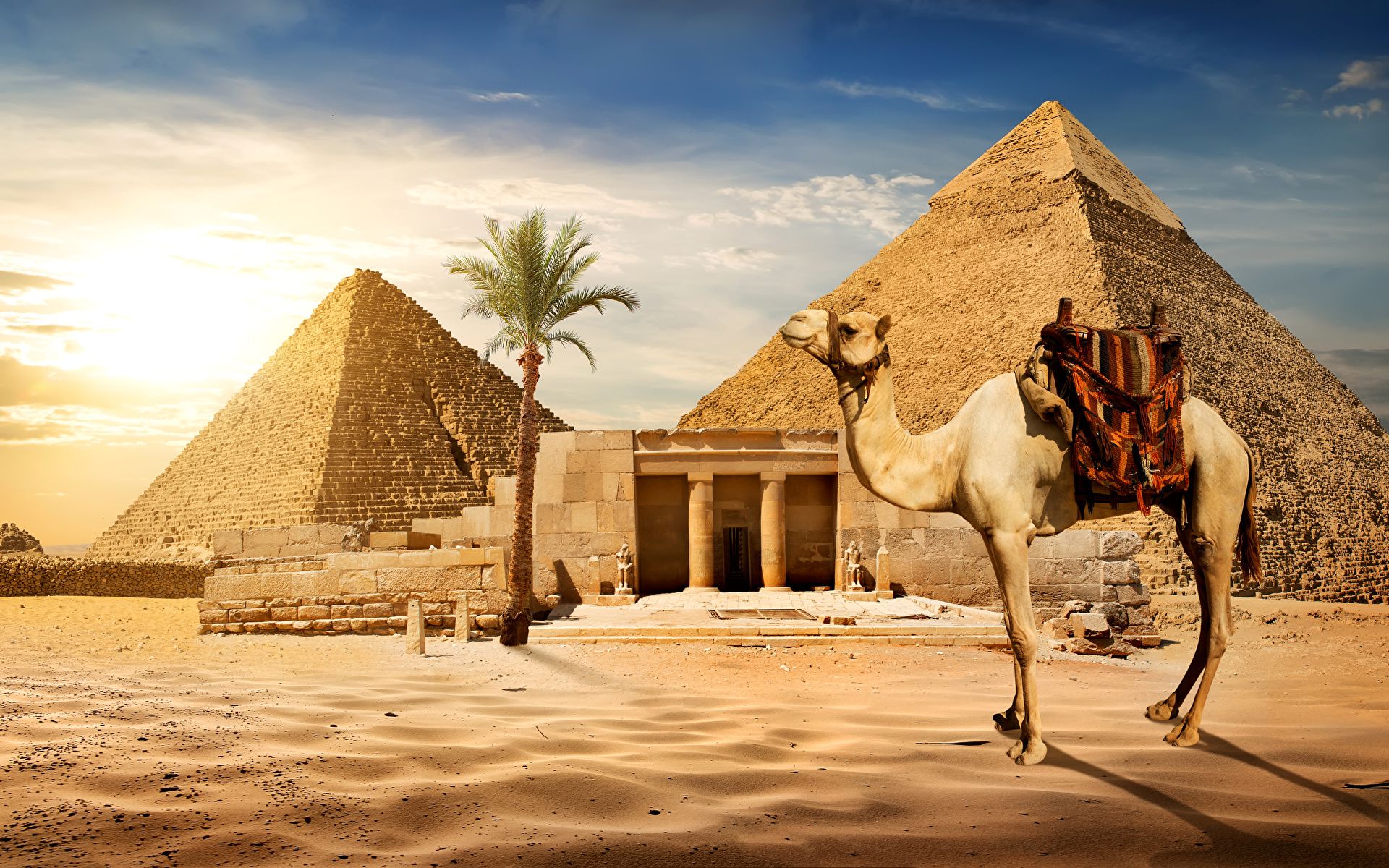 Ai Cập là địa điểm du lịch hấp dẫn nhất của giới tỷ phú năm 2022