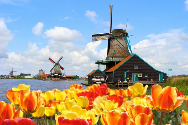 Tổng hợp kinh nghiệm du lịch Hà Lan - Vương quốc hoa Tulip