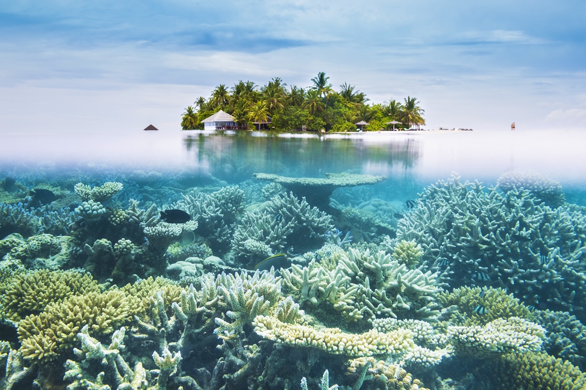 Hướng dẫn chọn đúng hòn đảo Maldives cho phong cách kỳ nghỉ của bạn - META  Event & Travel
