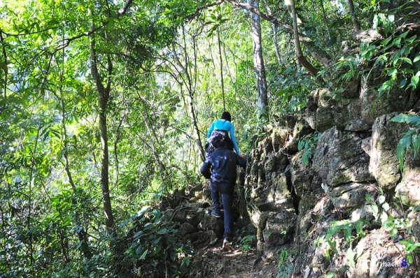 Du lịch mộc châu mùa thu