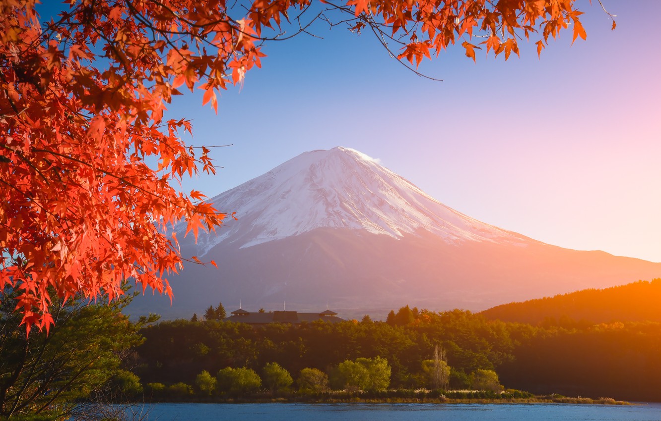 Tour Du lịch Nhật Bản mùa lá đỏ (4 ngày 3 đêm): HÀ NỘI – TOKYO - YAMANASHI– PHÚ SĨ – HÀ NỘI