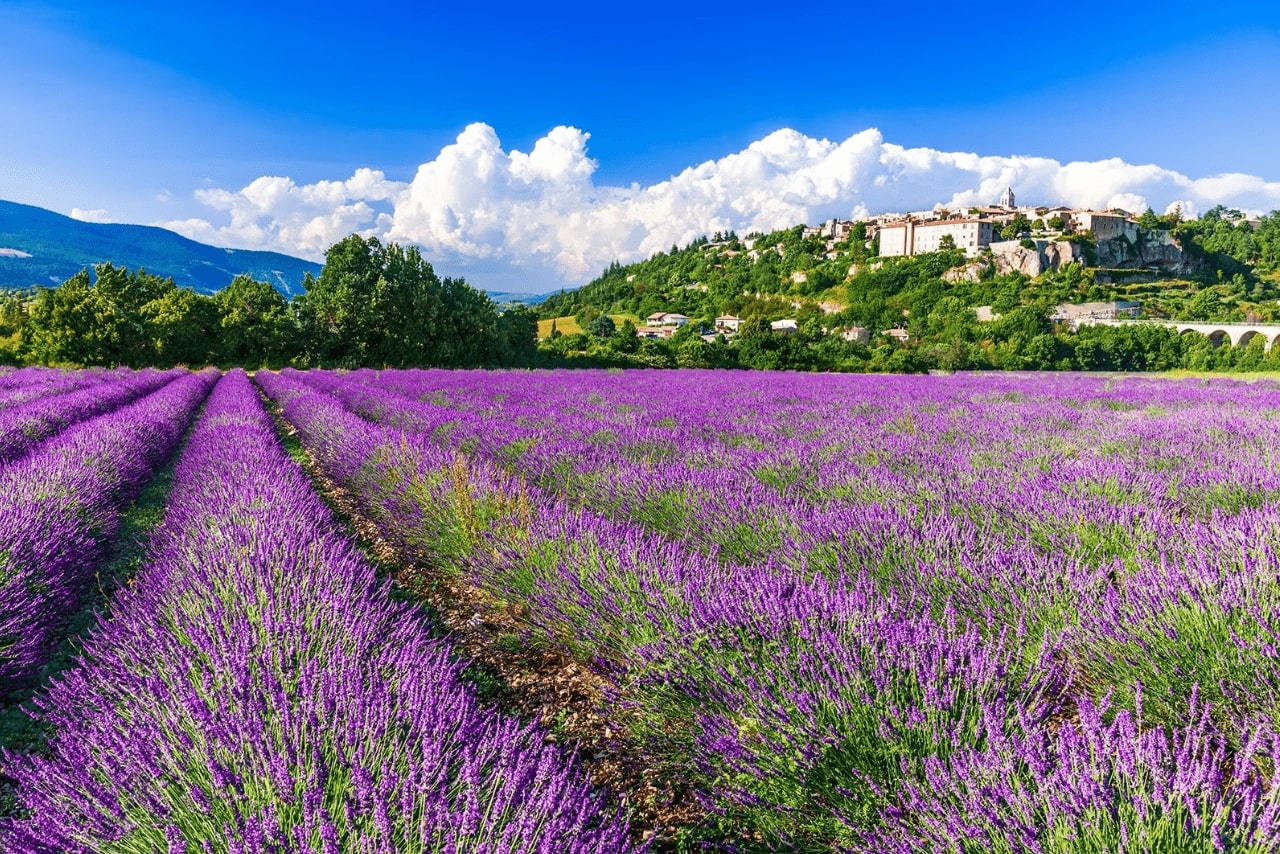 KHÁM PHÁ NAM ÂU VỚI NHỮNG CÁNH ĐỒNG HOA OẢI HƯƠNG BẤT TẬN MIỀN NAM PHÁP – MONACO – TÂY BAN NHA – BỒ ĐÀO NHA 12 NGÀY 11 ĐÊM