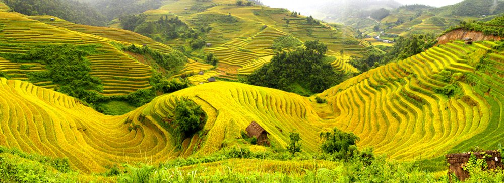 5 điểm du lịch hấp dẫn nhất trong mùa thu Việt Nam