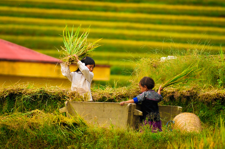 5 điểm du lịch hấp dẫn nhất trong mùa thu Việt Nam